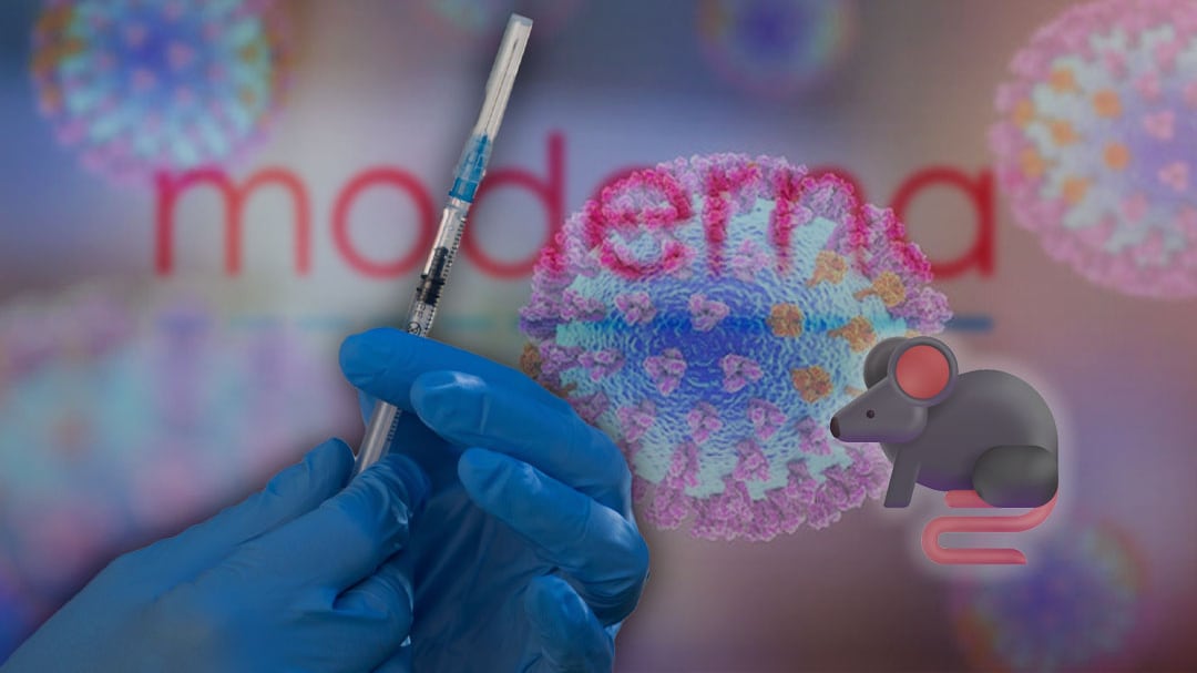 Moderna anuncia desarrollo de vacuna contra el hantavirus