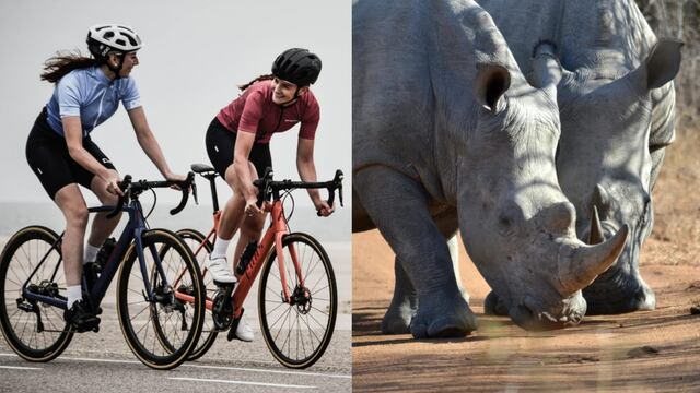 Este 22 de septiembre se celebra el Día Mundial sin Coche y el Día Mundial del Rinoceronte