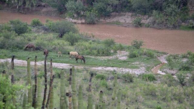 Río contaminado. Se pidió a la mina Buenavista del Cobre, filial de Grupo México, realizar acciones de limpieza en dicho cauce. Foto/Cuartoscuro
