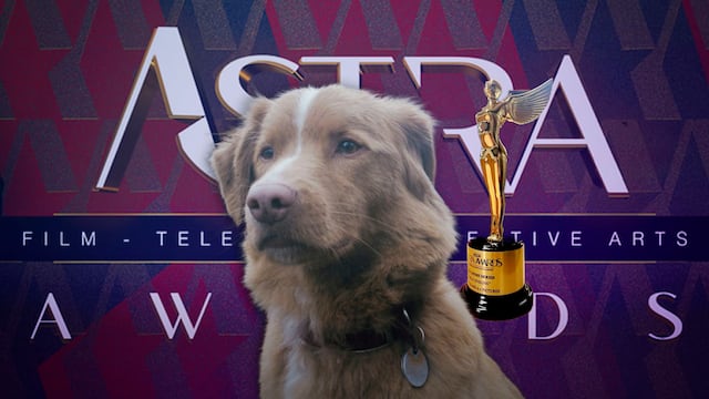 Indy gana premio a mejor actuación en Astra Film por “Good Boy"