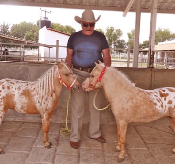 Vicente Fernández y sus 'Caballos miniatura'.