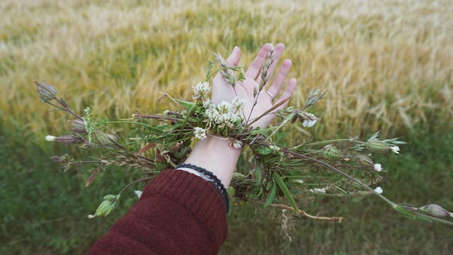 Este es el ritual de la luna nueva en piscis
