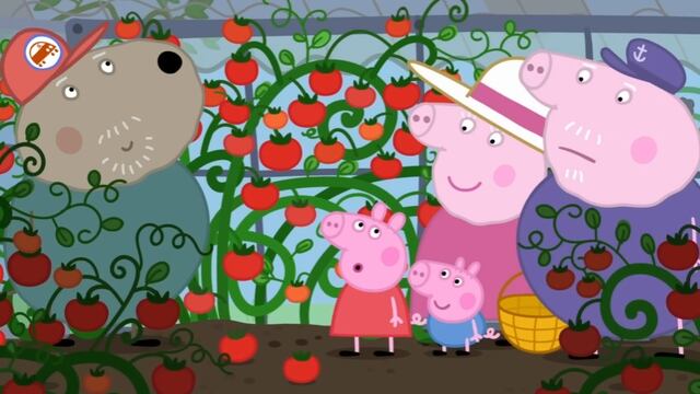Peppa Pig cultiva tomates