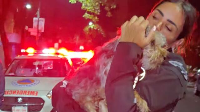 Alessandra Rojo de la Vega rescata a perrito de las lluvias