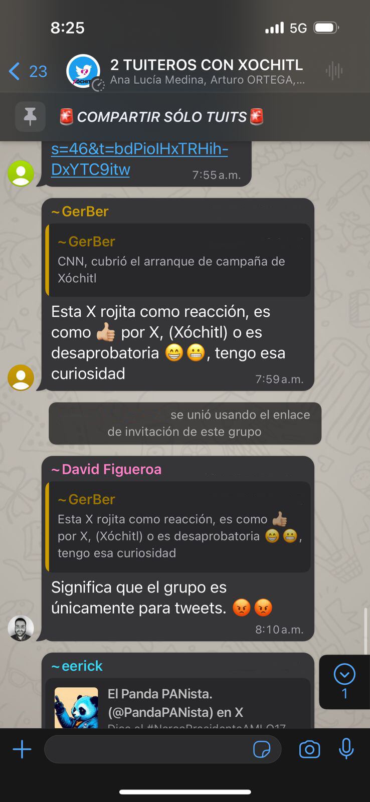Grupo de WhatsApp "2 tuiteros con Xóchitl"