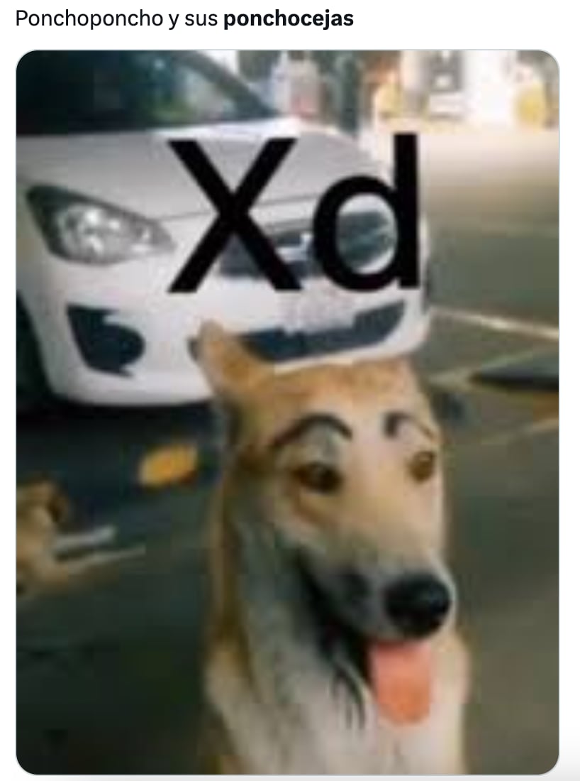 Poncho de Nigris y sus cejas desatan memes en redes sociales