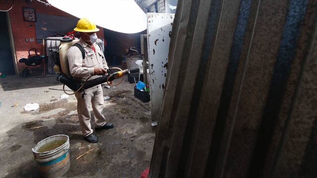 Realizan fumigaciones en diferentes puntos del país ante el temor del mosquito Aedes aegypti.