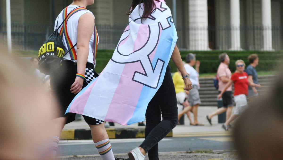 Bandera trans