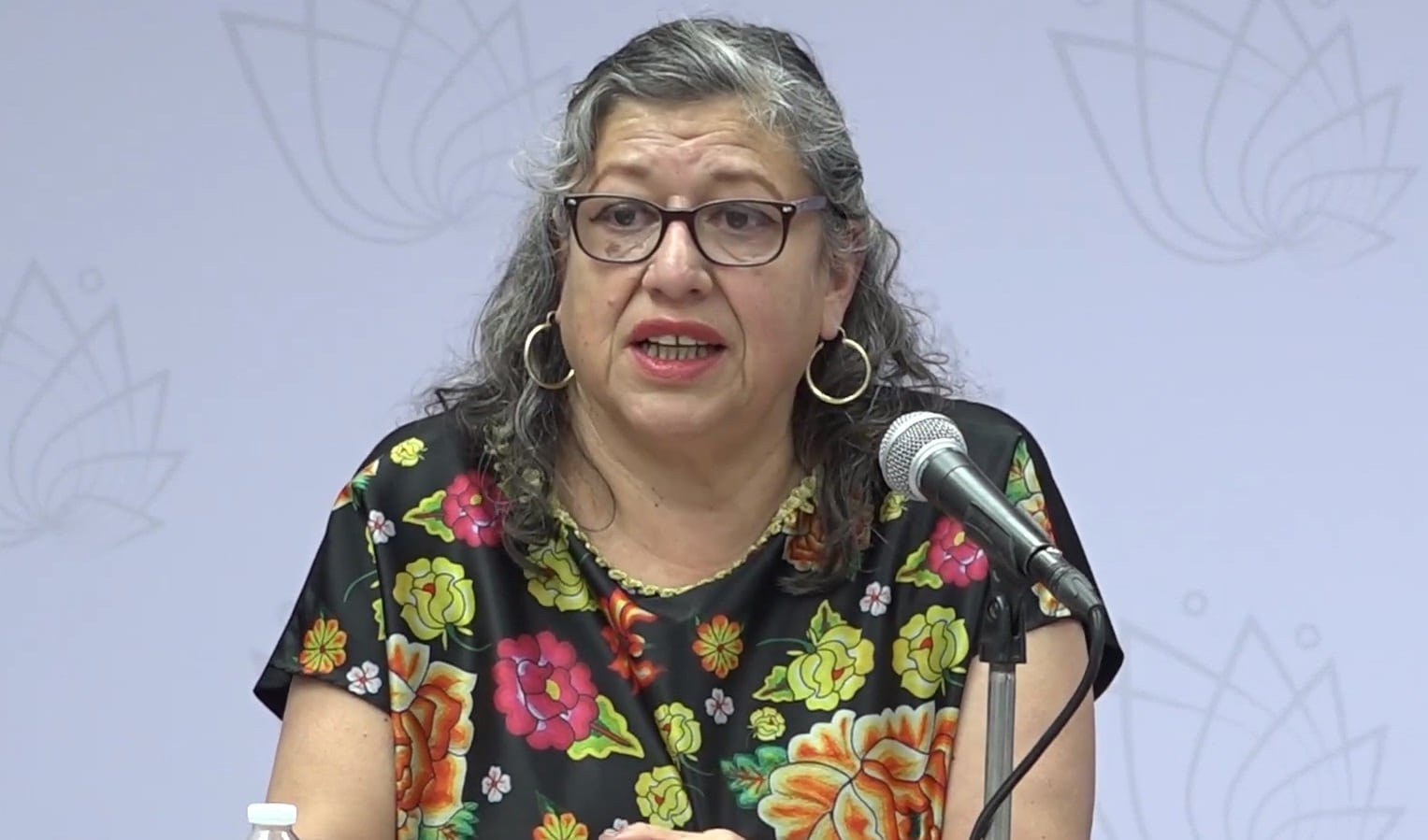 Teresa Guadalupe Reyes Sahagún