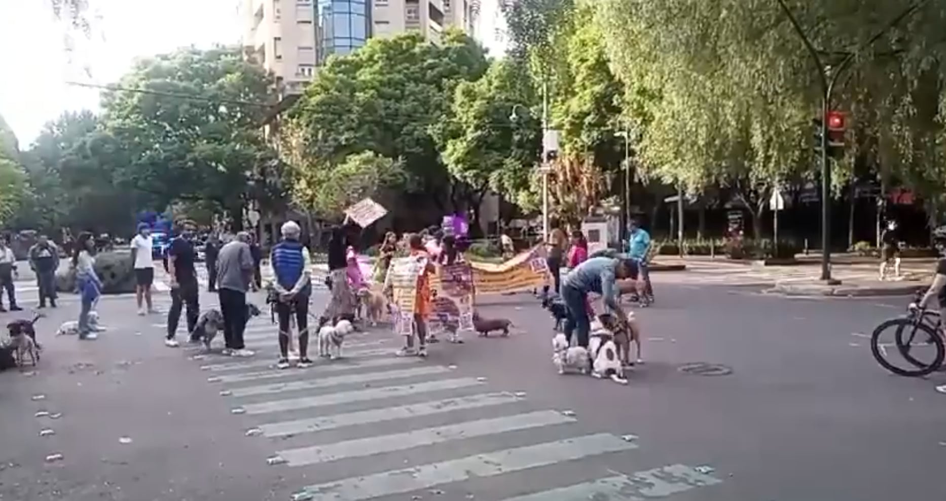 Protesta de perritos