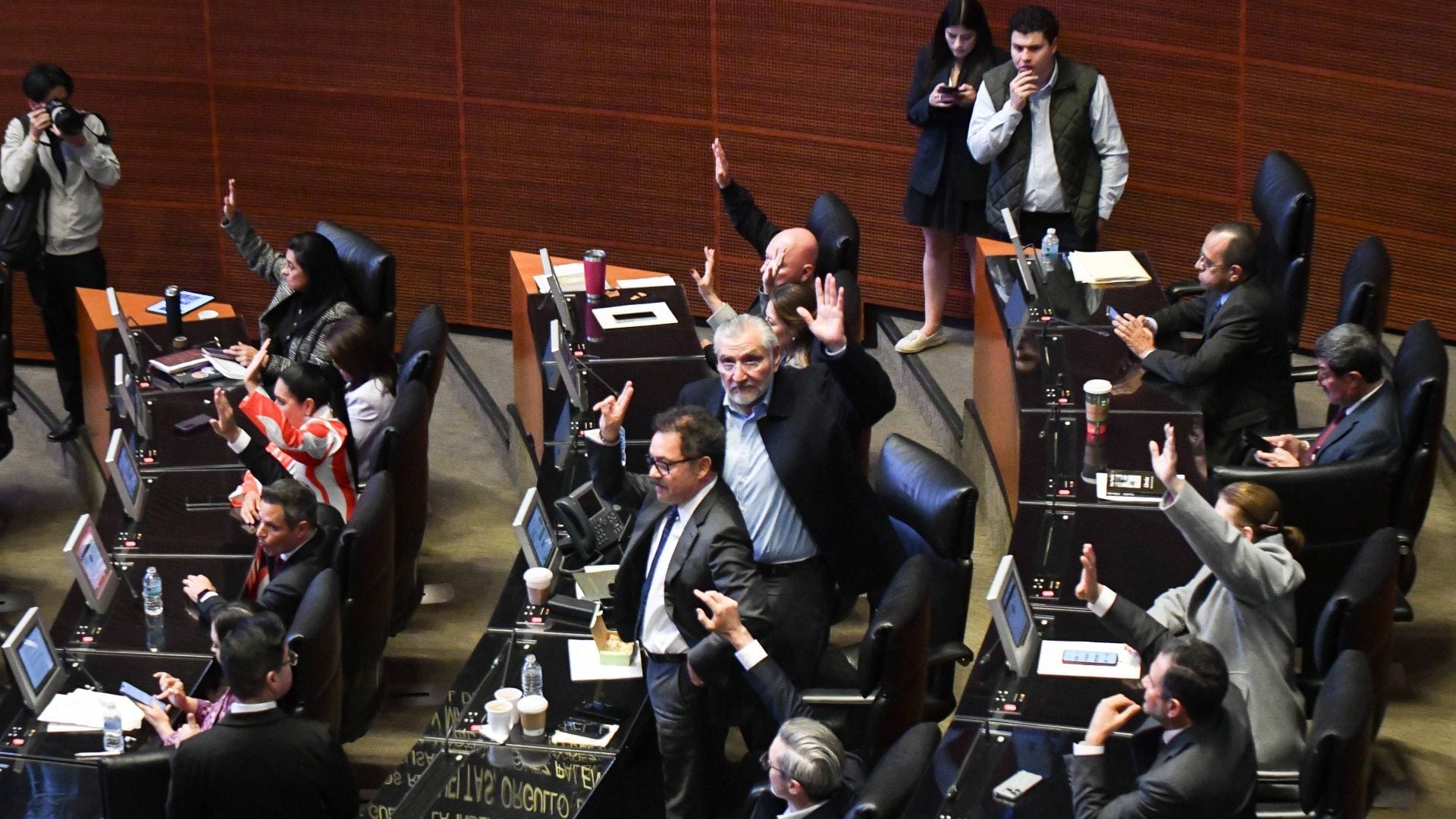 La dictadura de la mayoría