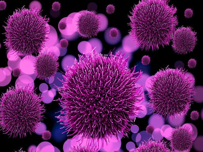 ¿El coronavirus se terminó? Khosta-2, el nuevo virus encontrado en murciélagos de Rusia