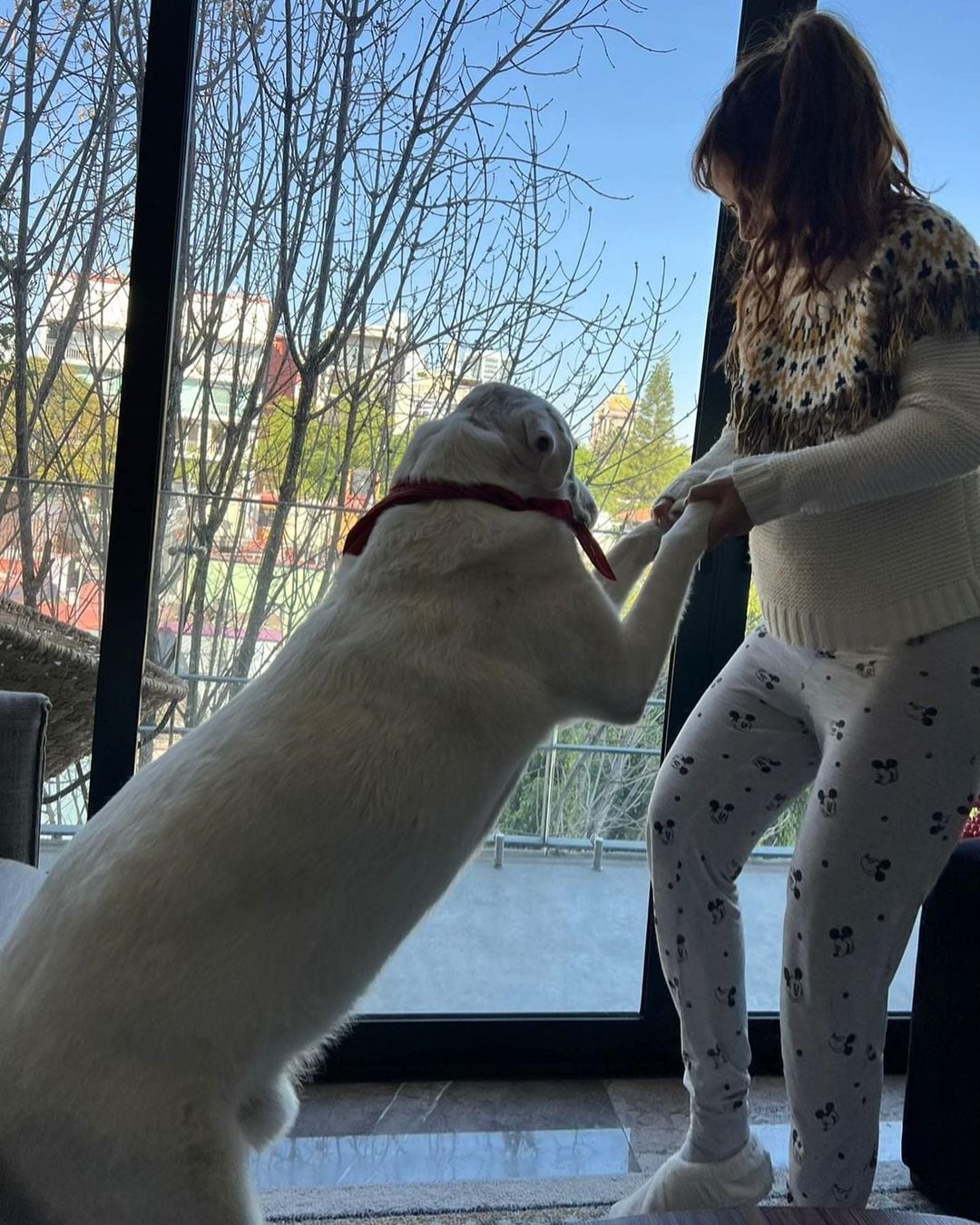 Natalia Téllez y 'Güero', su perro