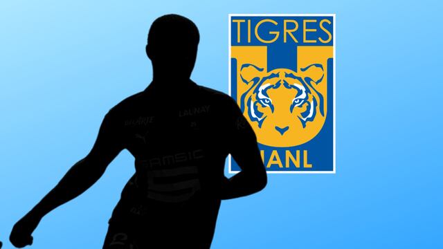 Tigres va por un central francés.