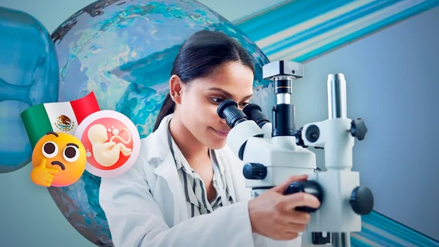 Fecundación in vitro en México: qué es y cómo se regula