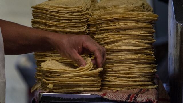 Precio de la tortilla no recibirá subsidios, pero se cuida que no incremente: AMLO