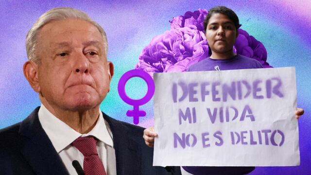 AMLO analiza el indulto para Roxana Ruiz