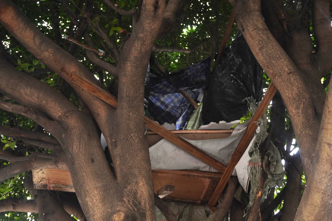 Alcaldía Cuauhtémoc retira triques y basura