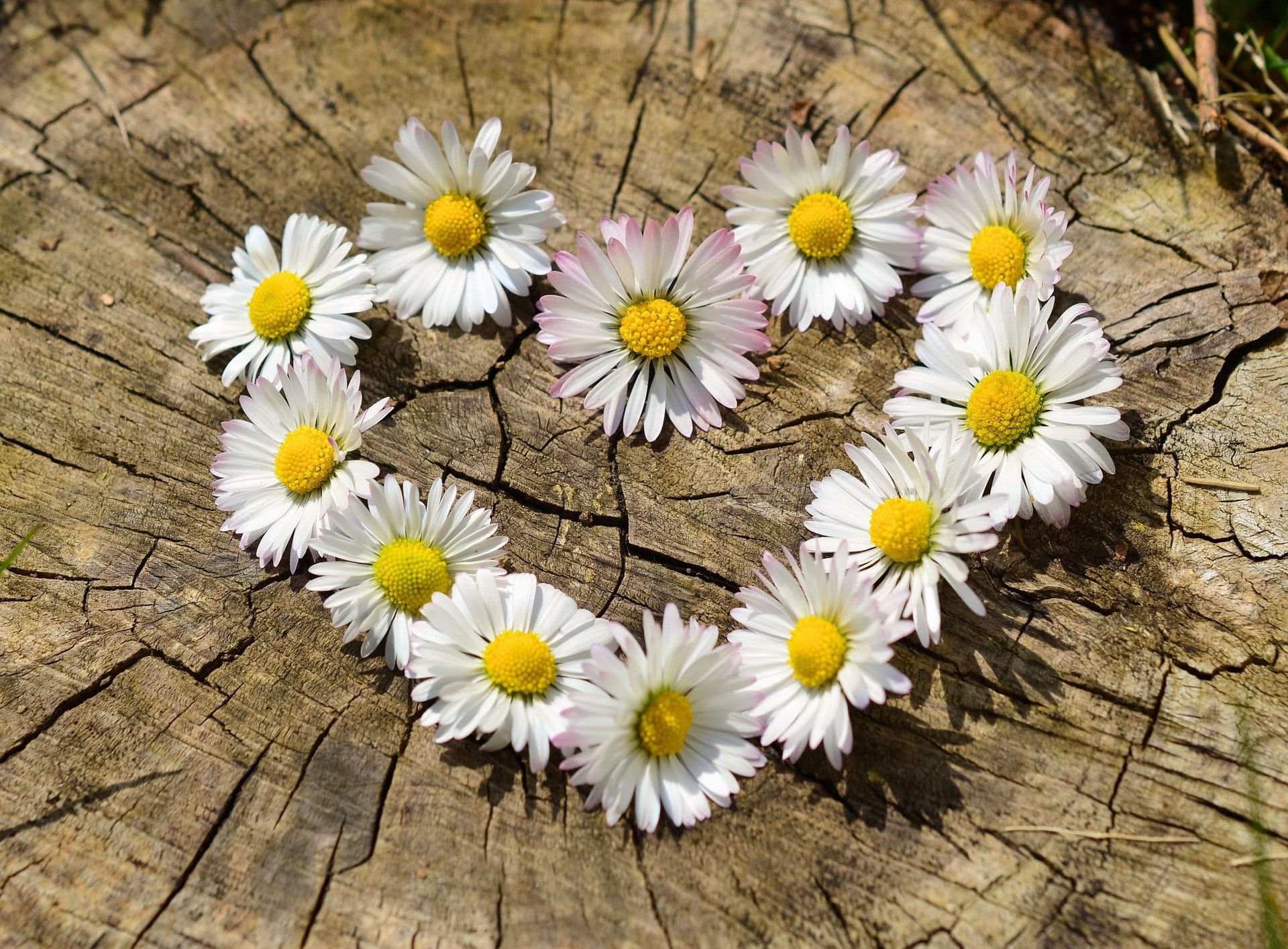 Las 10 frases más románticas para dedicar en San Valentín