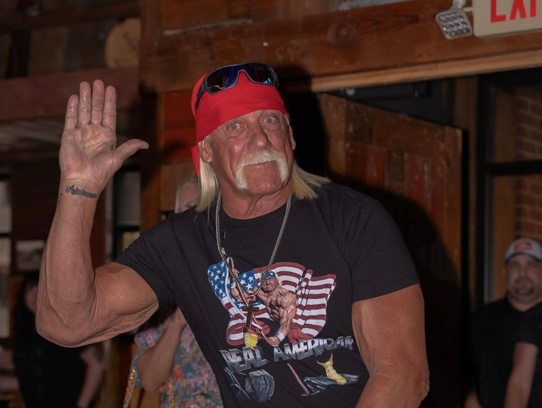 Hulk Hogan