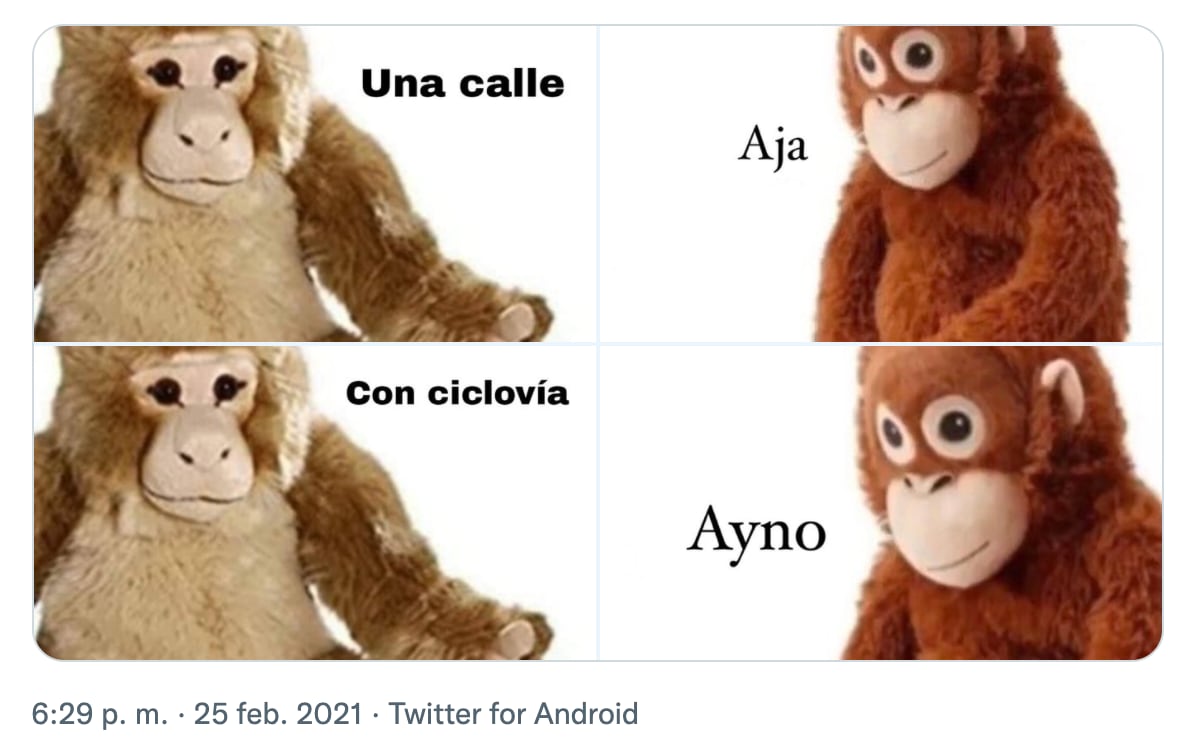 Meme del orangután 'Lupe'