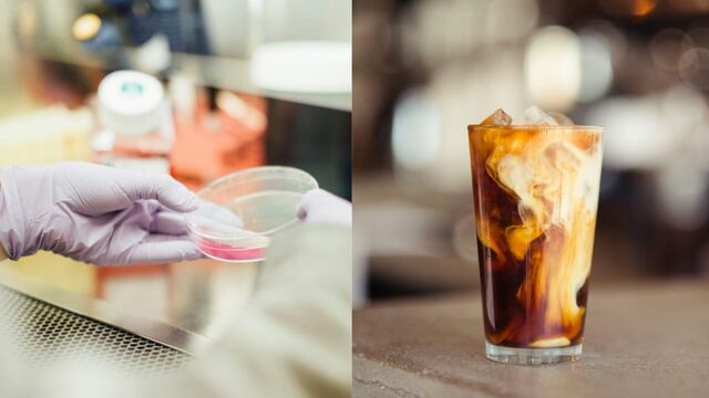 Este 25 de enero es el Día del Biólogo en México y el Día del Café Irlandés