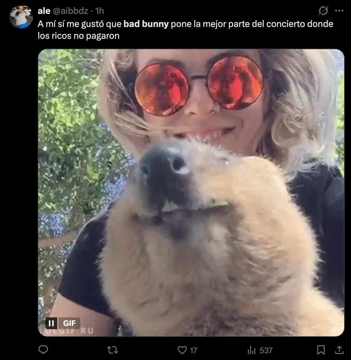 Memes por la nueva sección en los conciertos de Bad Bunny