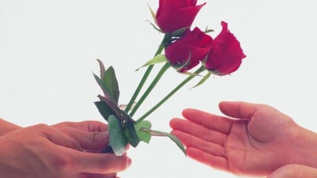 Hay cositas que debes cuidar...