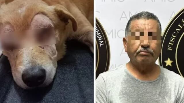 Hombre saca los ojos a perro Rirry en Sonora
