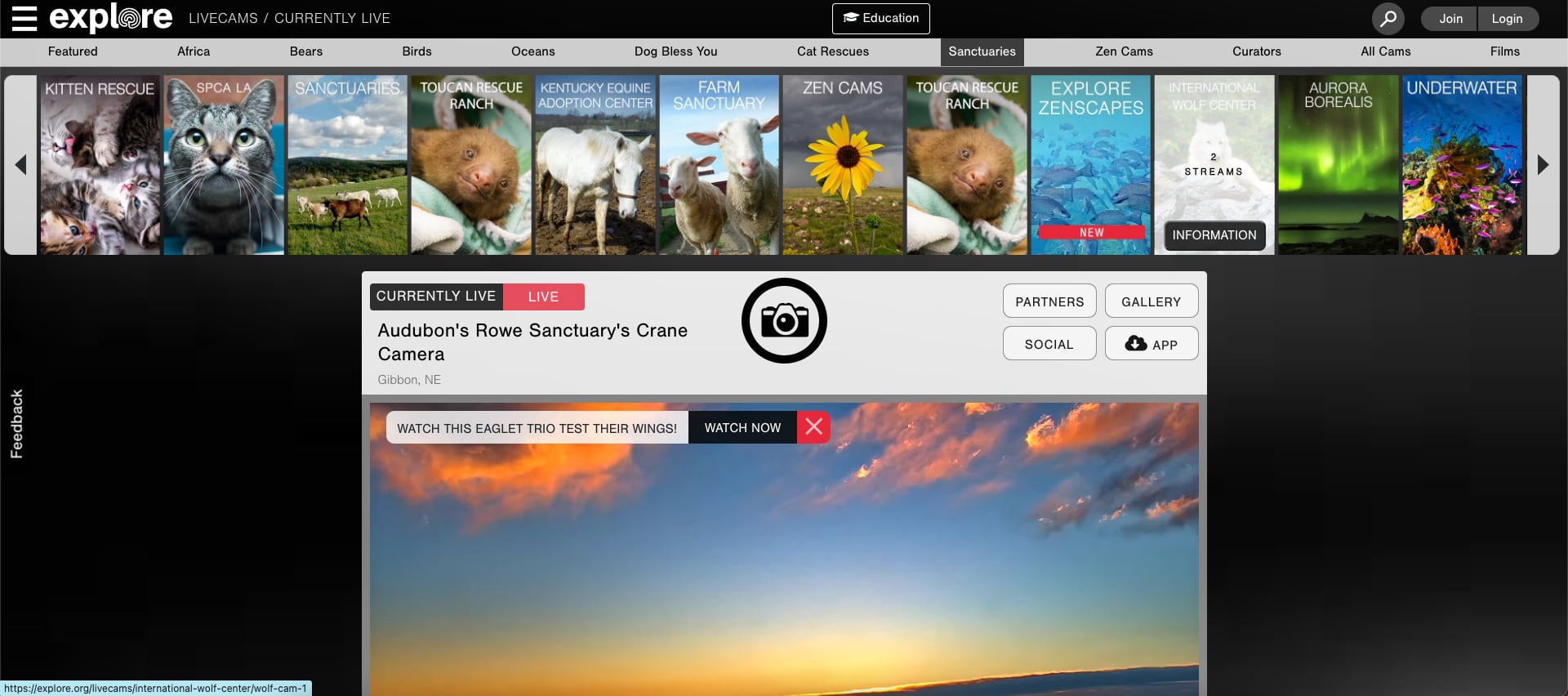 Transmisiones en vivo de animales las 24 horas