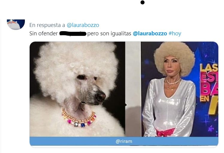 Memes de Laura Bozzo