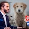 El plan de Nayib Bukele para rescatar sin crueldad a los animales callejeros de El Salvador