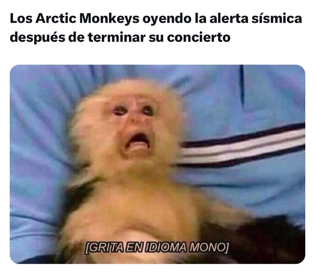 Los temblorosos memes durante el concierto de Arctic Monkeys