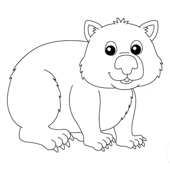 Dibujo Wombat Día Internacional del Wombat