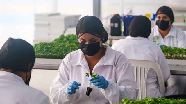 Jalisco, estado del año