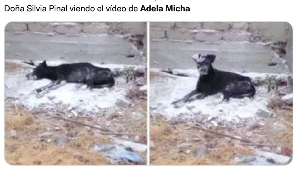 Memes de Adela Micha sobre comentario de Silvia Pinal