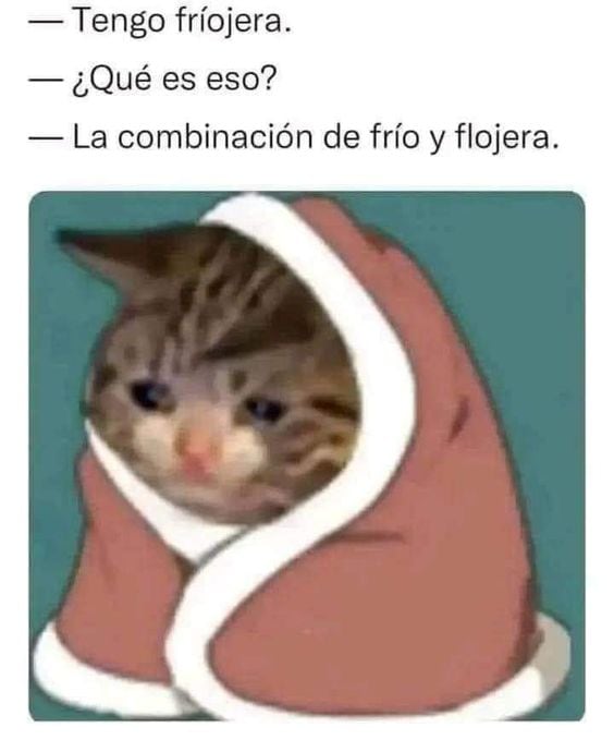 Team frío protagoniza memes por bajas temperaturas en CDMX