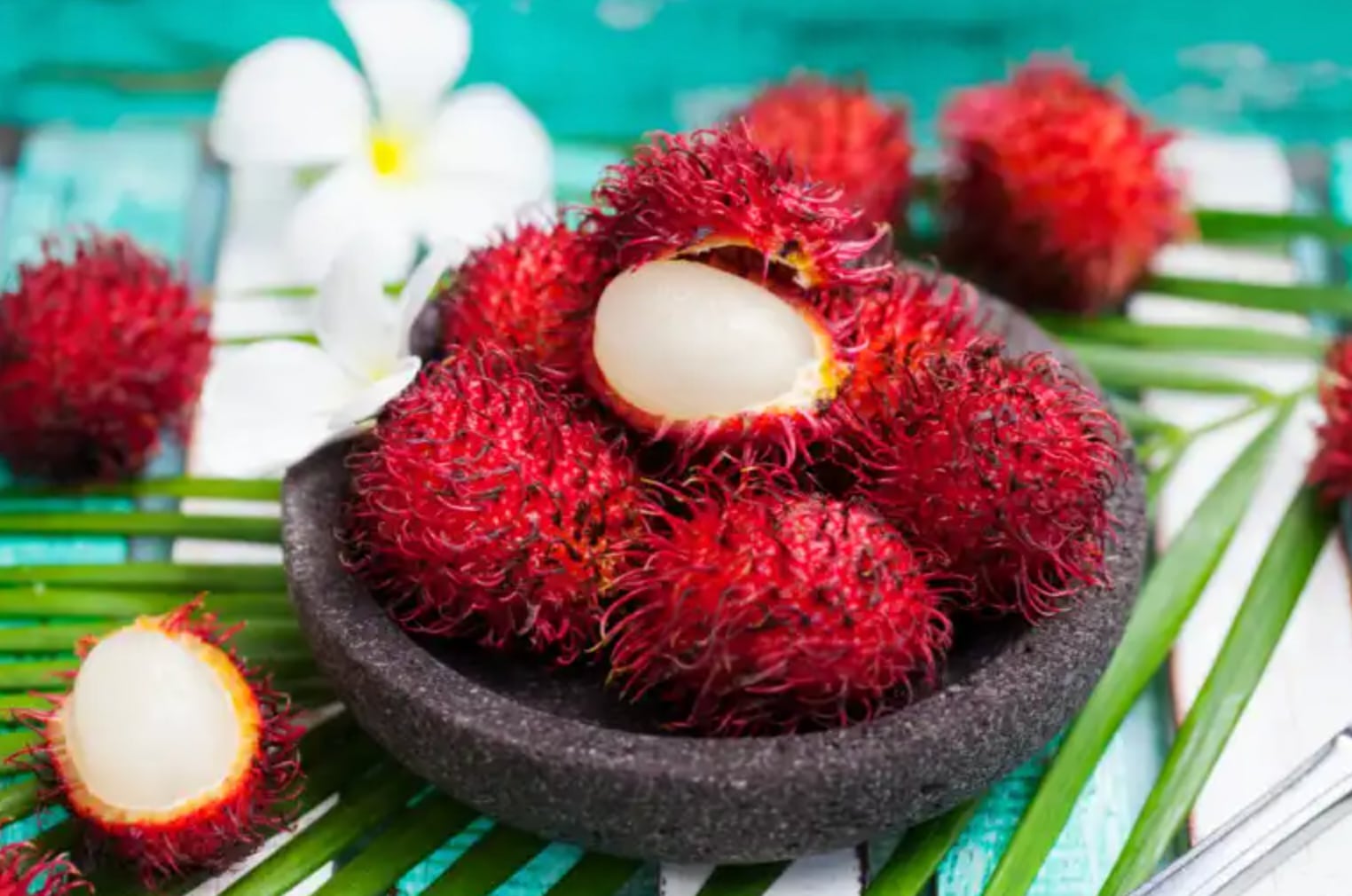 Rambután
