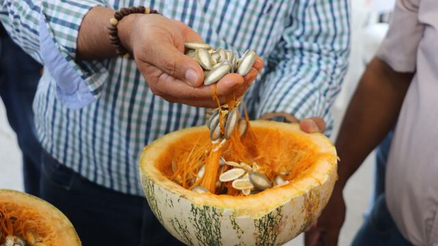Calabaza pipián