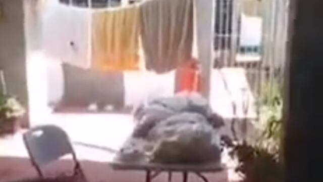 Despensas prometidas por acarreo a elección interna de Morena