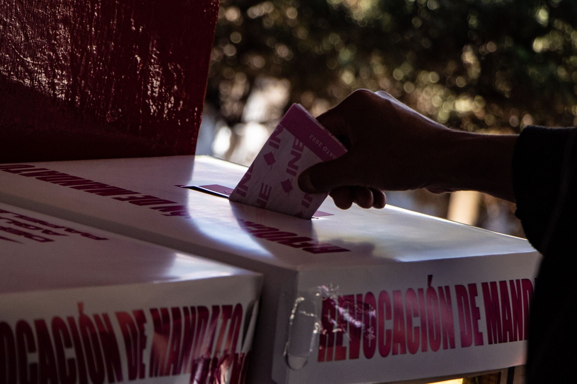 Revocación de mandato