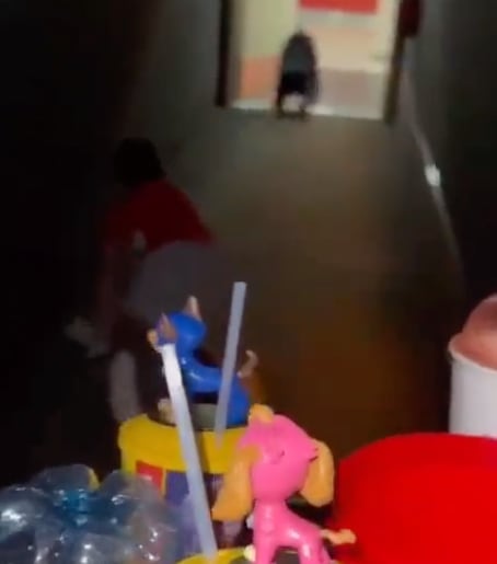 Niños tras ver Paw Patrol La Súper Película