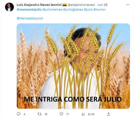 Memes por el mes de julio