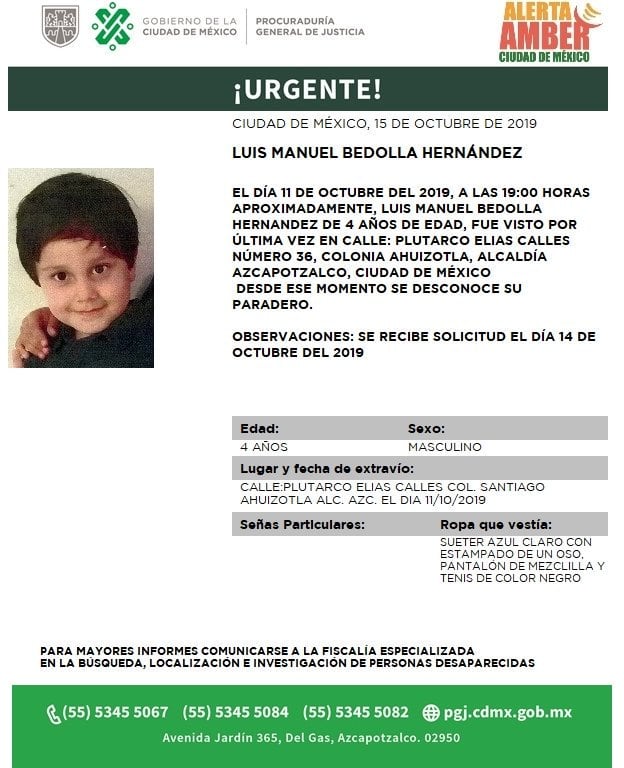 Luis Manuel Bedolla Hernández