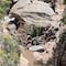 ¿Qué pasó en Real de Catorce? Familia sufre terrible accidente por Jeep que cayó a un barranco