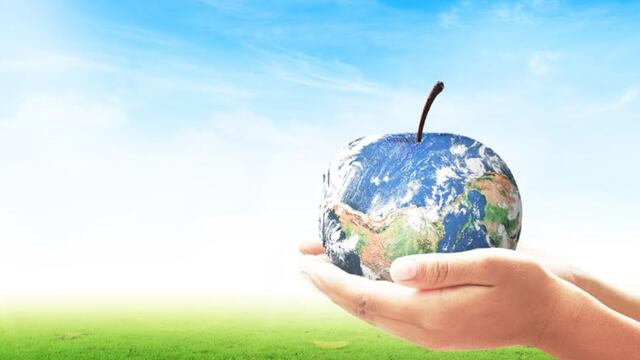 Cada uno de los 17 desafíos es abordado como un tema cada año