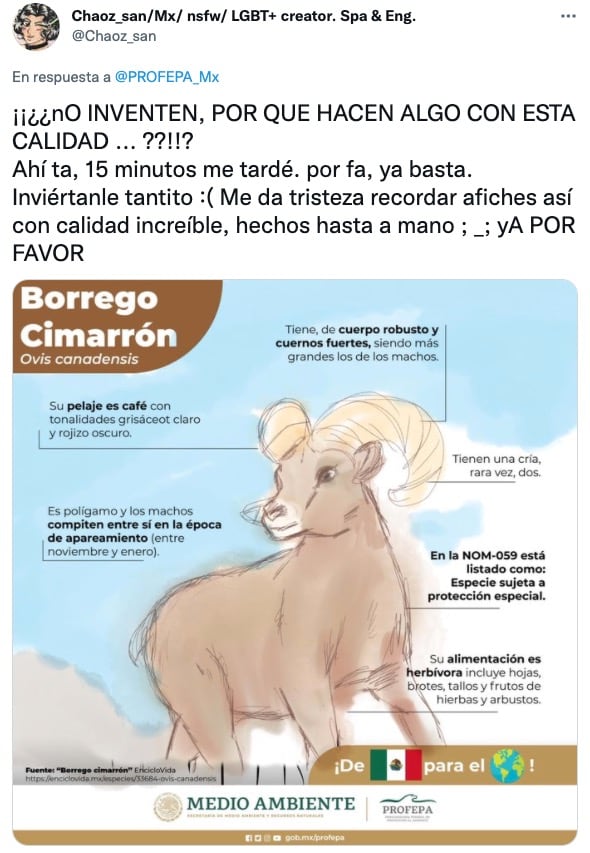 Ilustración sobre borrego cimarrón