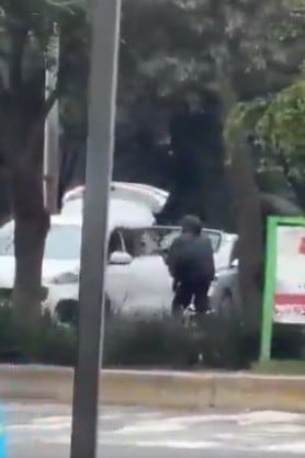 Captan asalto armado a automovilista en Paseo de la Reforma, CDMX