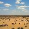 NASA descubre millones de árboles en el desierto del Sahara
