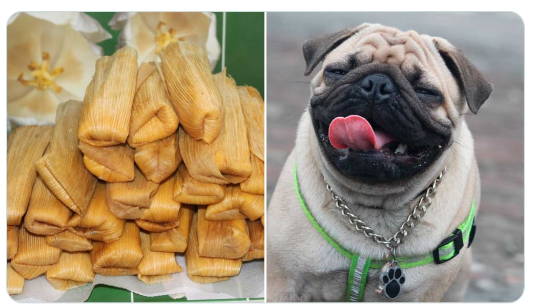 memes del Día de la Candelaria